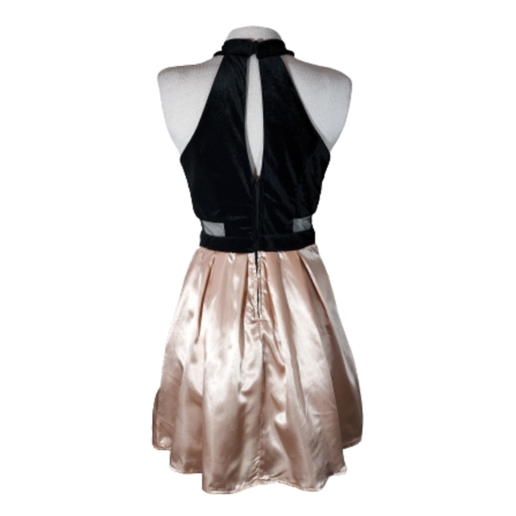 Windsor Dress Sleeveless Pleated Cut Out Velvet and Satin Champagne Size… - Picture 3 of 17